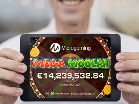 lucky-player-hit-14.2m-euro-jackpot-on-mega-moolah-progressive-slot